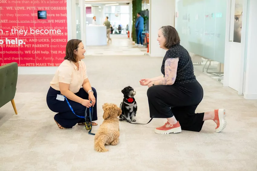 Warszawa, 25 czerwca 2026 r. – Mars, Incorporated – globalny lider w kategorii produktów i usług dla zwierząt oraz producent marek takich jak PEDIGREE® i WHISKAS® – ogłasza wyniki nowego raportu, które jasno pokazują, że…