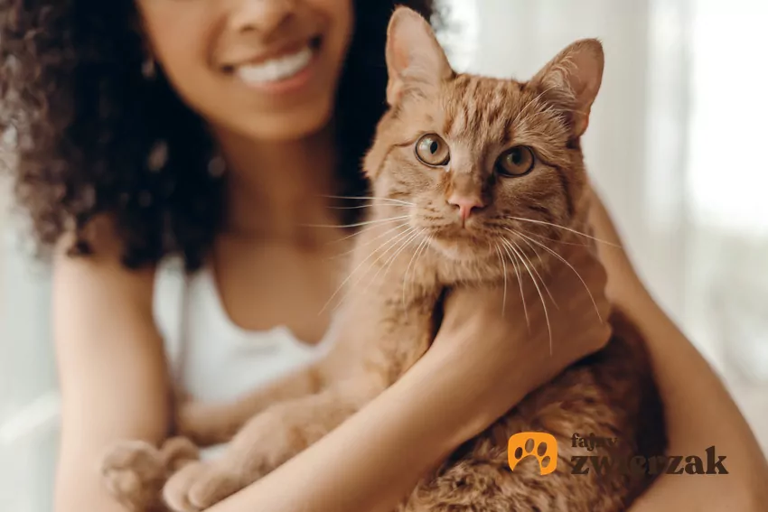 Co powstrzymuje Polaków przed adopcją zwierząt? Mars publikuje nowe badanie i wspólnie z Towarzystwem Opieki nad Zwierzętami w Polsce organizuje Weekend Adopcji