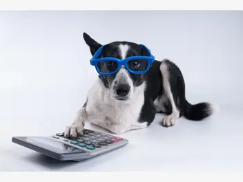 Ilustracja artykułu ile wynosi podatek od psa w 2020 roku i jak go zapłacić?