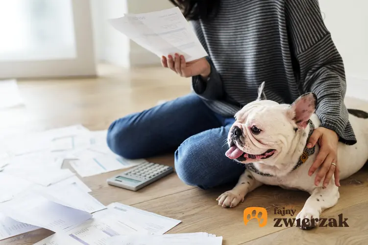 Pies ze swoim właściciele przeglądającym rachunki oraz informacje, ile wynosi podatek od psa