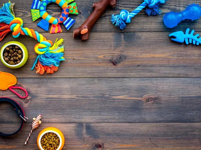 Niezbędne zakupy przed psem