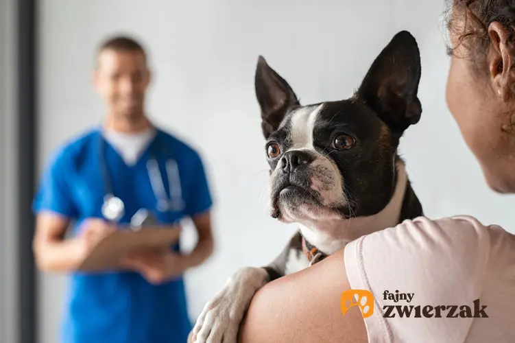 Kobieta z psem u weterynarza, a także epilepsja, czyli padaczka u psa