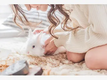 Ilustracja artykułu kuweta dla królika - która pomaga w utrzymaniu czystości?