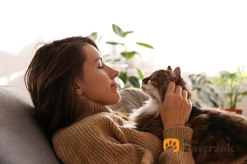 Kot ugniata brzuch opiekunki