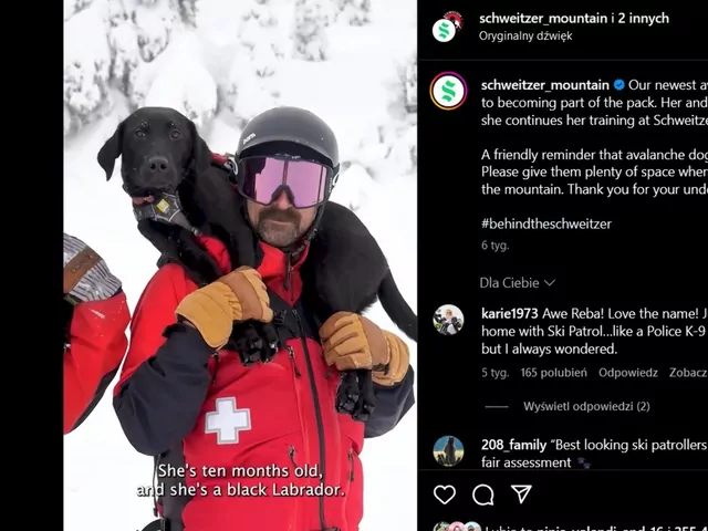 Psy ratujące w górach ludzkie życie