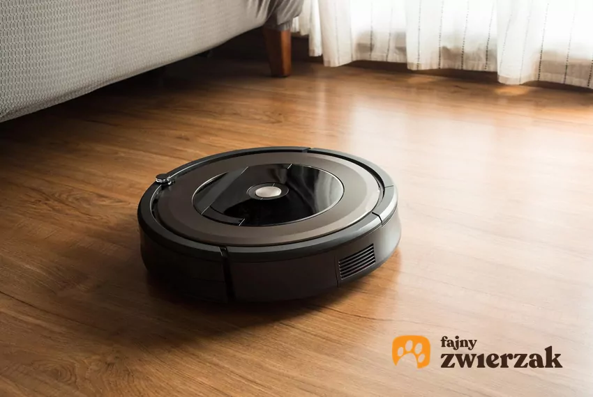 Roomba na podłodze
