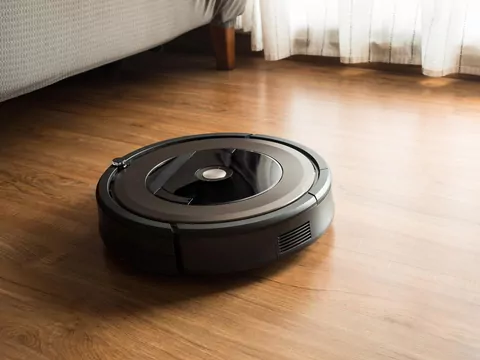 Zwierzak a Roomba