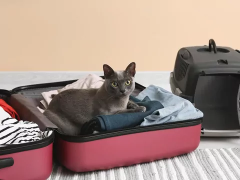 Checklista opiekuna na urlop