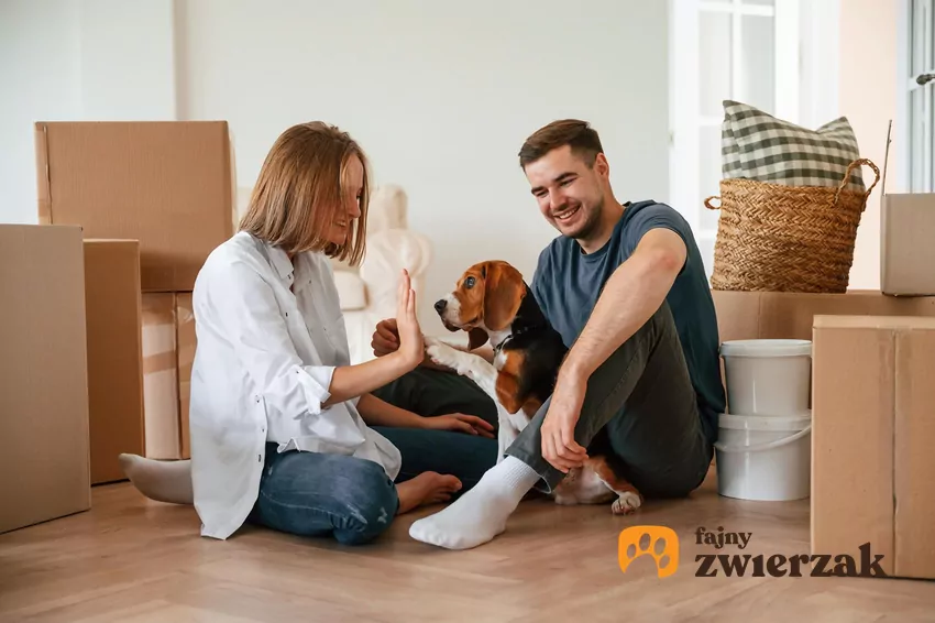 Mężczyzna, kobieta i pies wśród pudełek