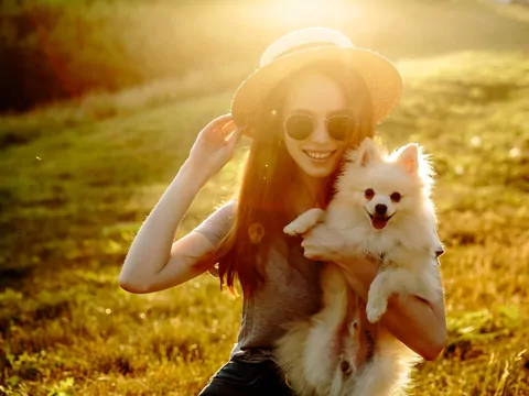 Sezonowe zagrożenia dla psa