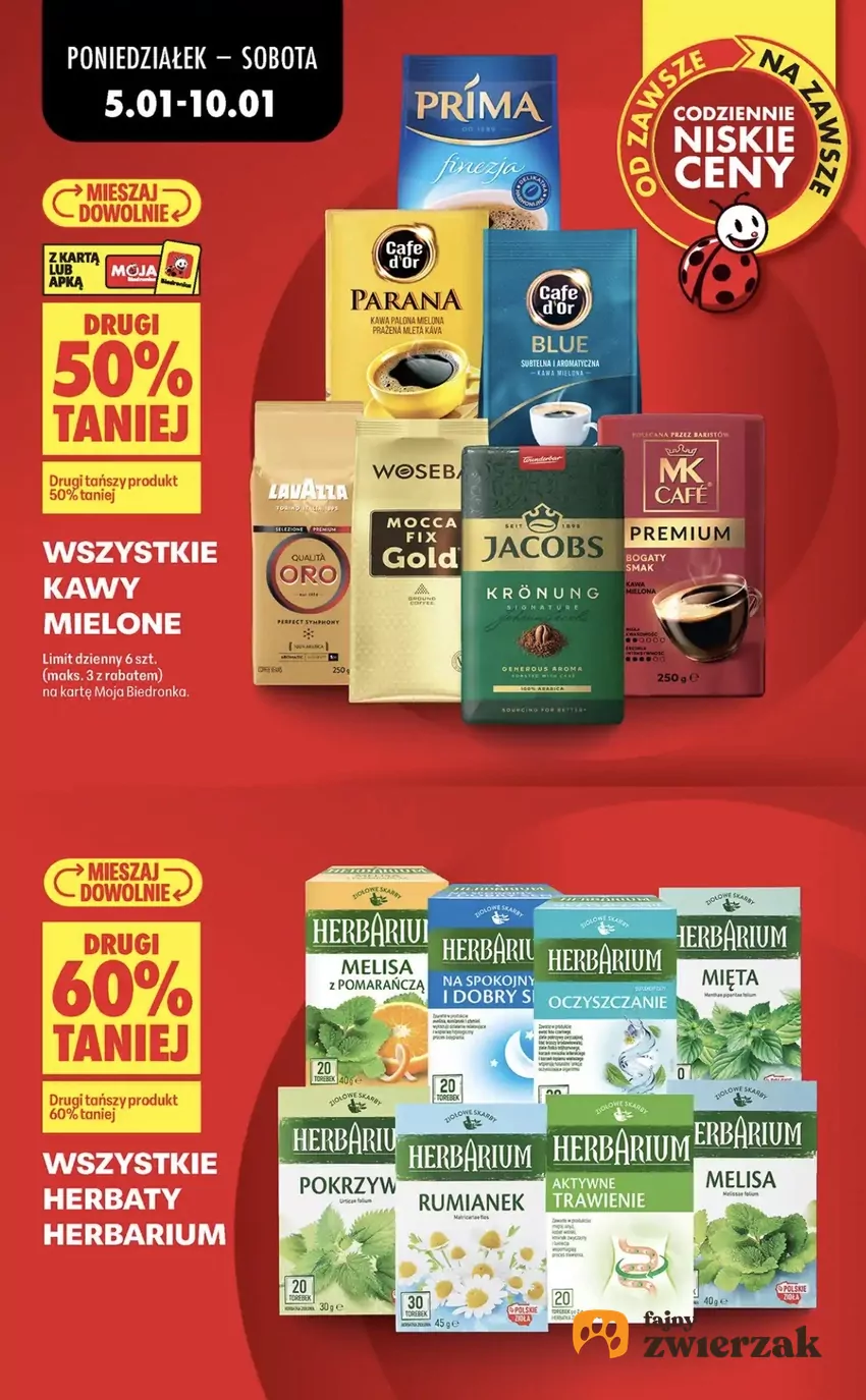 Promocje w Biedronce