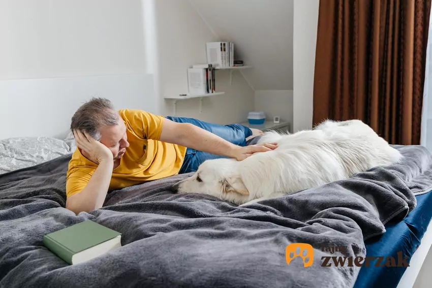 Starszy człowiek i pies leżą na łóżku