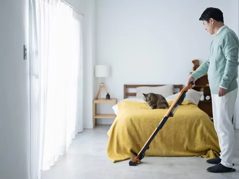 Dlaczego kot boi się odkurzacza?