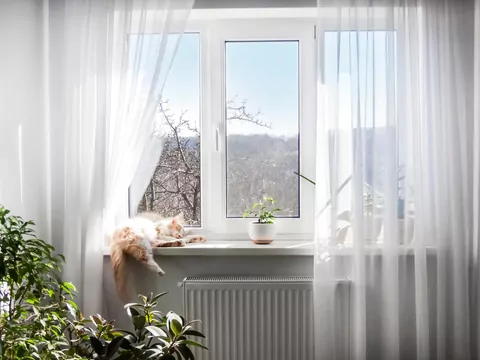 Zachowanie kota a pory roku