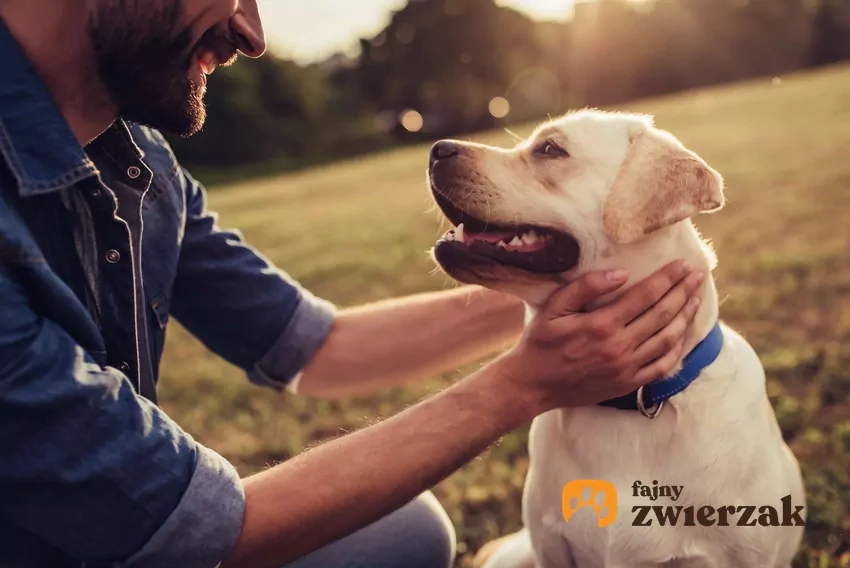 Mężczyzna i pies patrzą na siebie