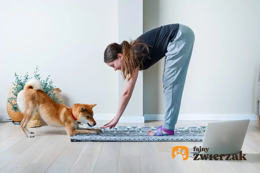 Kobieta i pies robiący "ukłon"