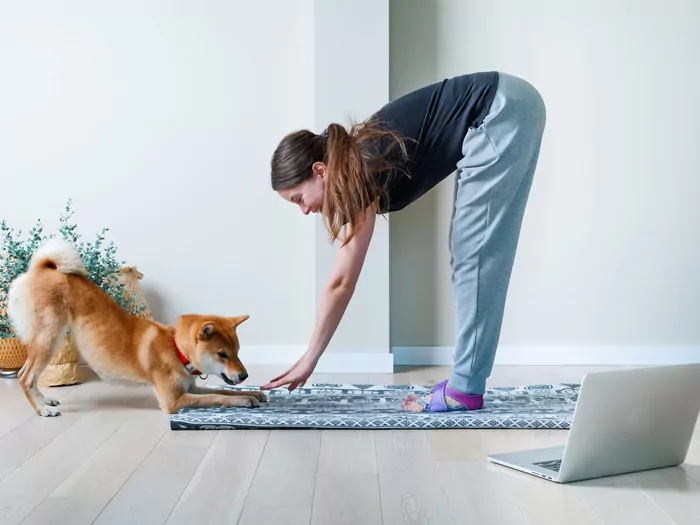 Psi fitness w mieszkaniu