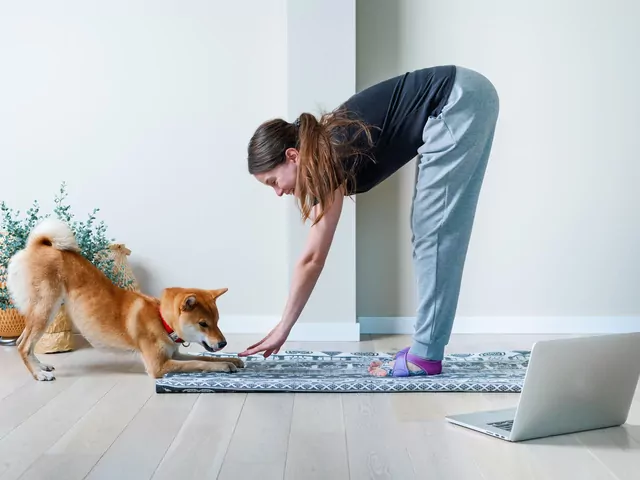 Psi fitness w mieszkaniu