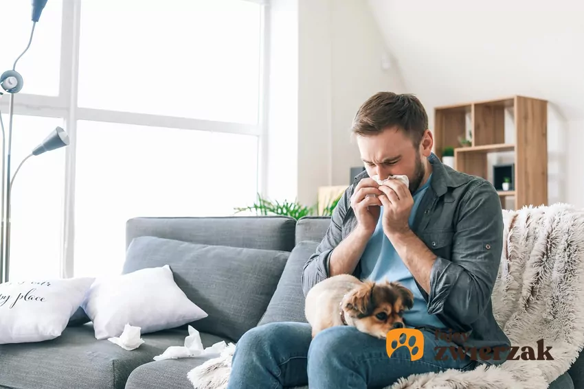 Człowiek wydmuchuje nos