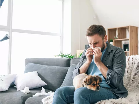 Zwierzak a alergie domowników