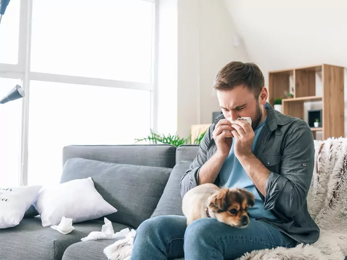 Zwierzak a alergie domowników