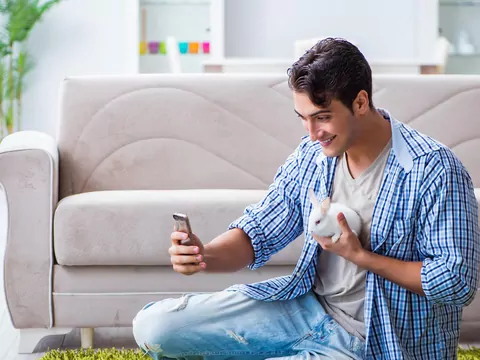 Jak fotografować królika?