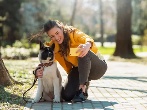 Jak stworzyć popularny profil psa w mediach społecznościowych