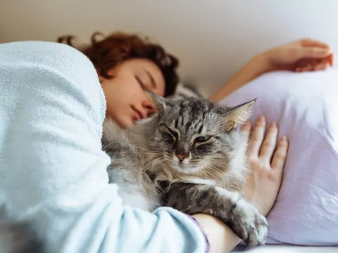 Dlaczego koty najbardziej kochają z rana?