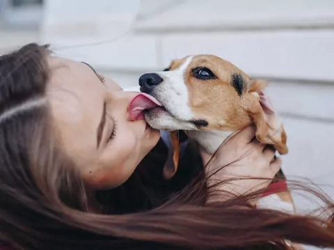 Całowanie psa: porady i zasady