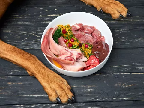 Gotowanie mięsa dla psa - zasady