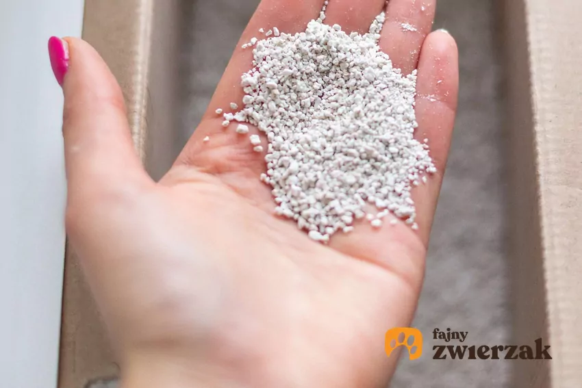 Żwirek dla kota ma duże znaczenie w utrzymaniu higieny Żwirek dla kota