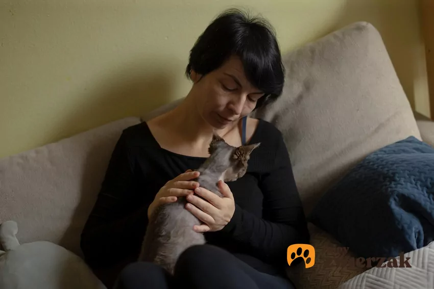 Kobieta trzyma kota na kolanach
