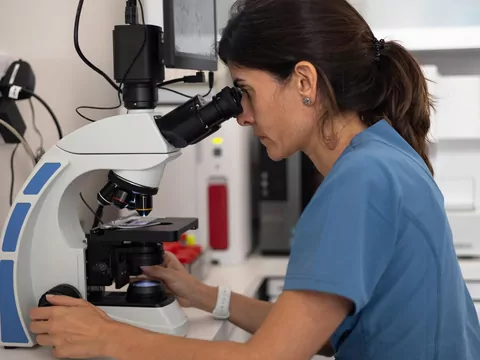 Robaki u kota - objawy