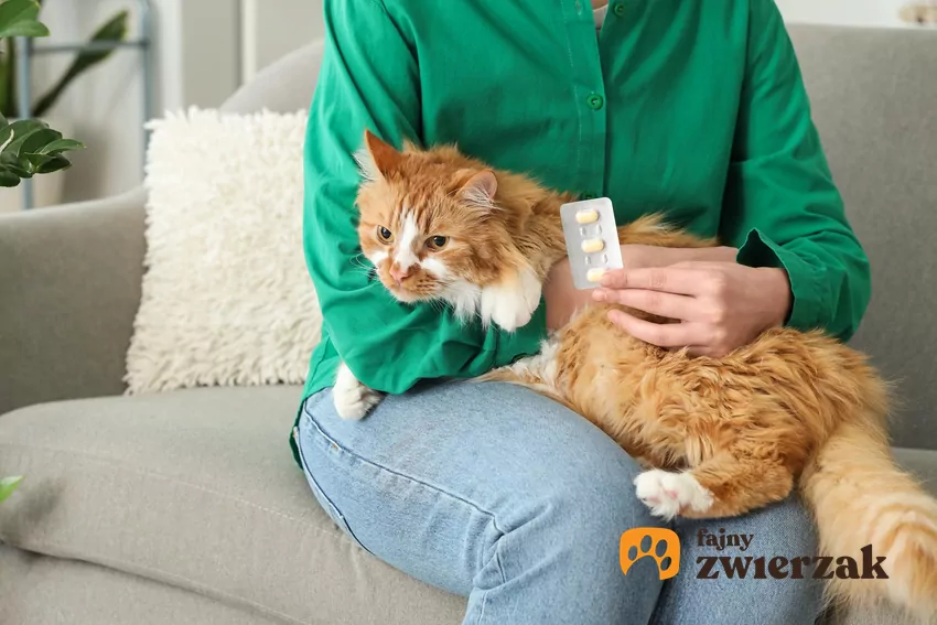 Częstotliwość odrobaczania powinna być zawsze ustalana indywidualnie z lekarzem weterynarii Kobieta trzyma kota na kolanach, w drugiej ręce ma tabletki