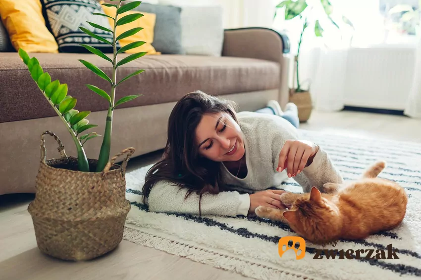 Przywiązanie kotów do miejsc