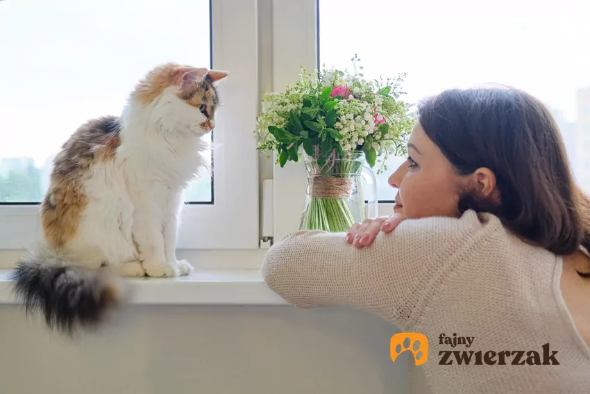 Kot ignoruje jedną osobę w domu