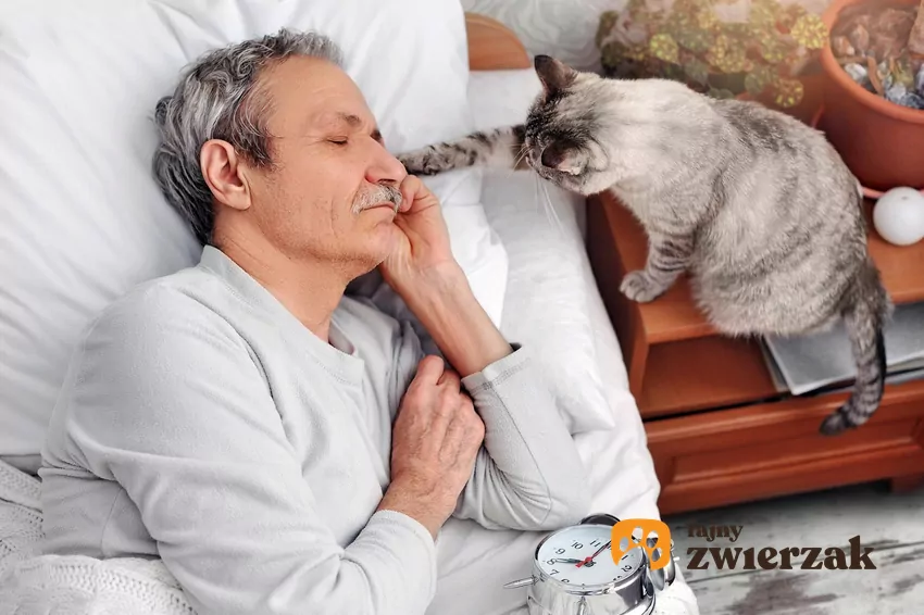 Kot reaguje na rutynę