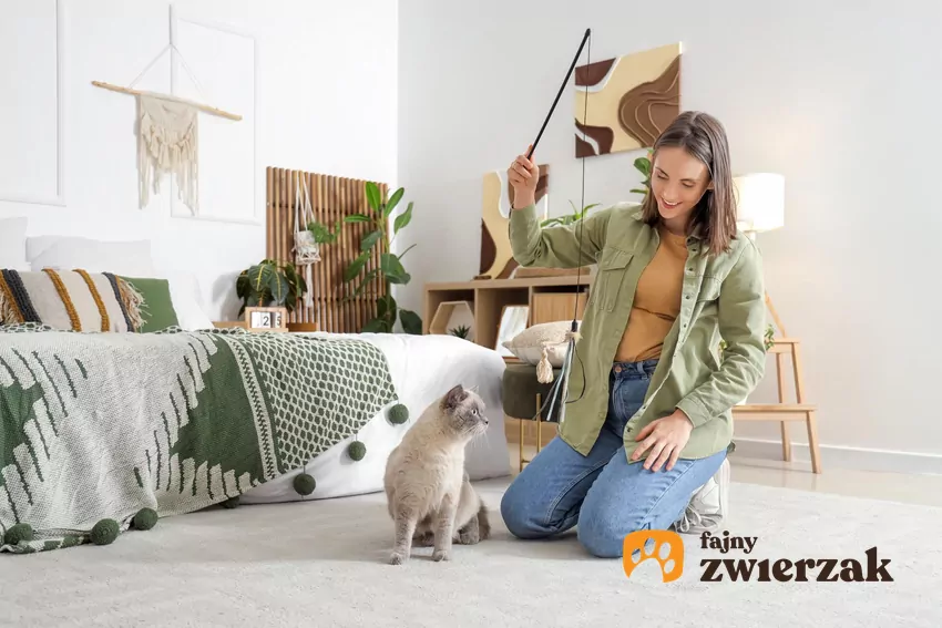 Kobieta bawi się z kotem