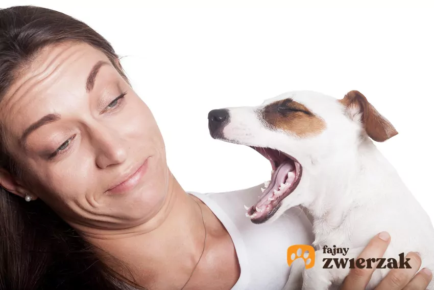 Kobieta trzyma ziewającego psa