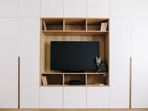 Dlaczego kot siada przed telewizorem?