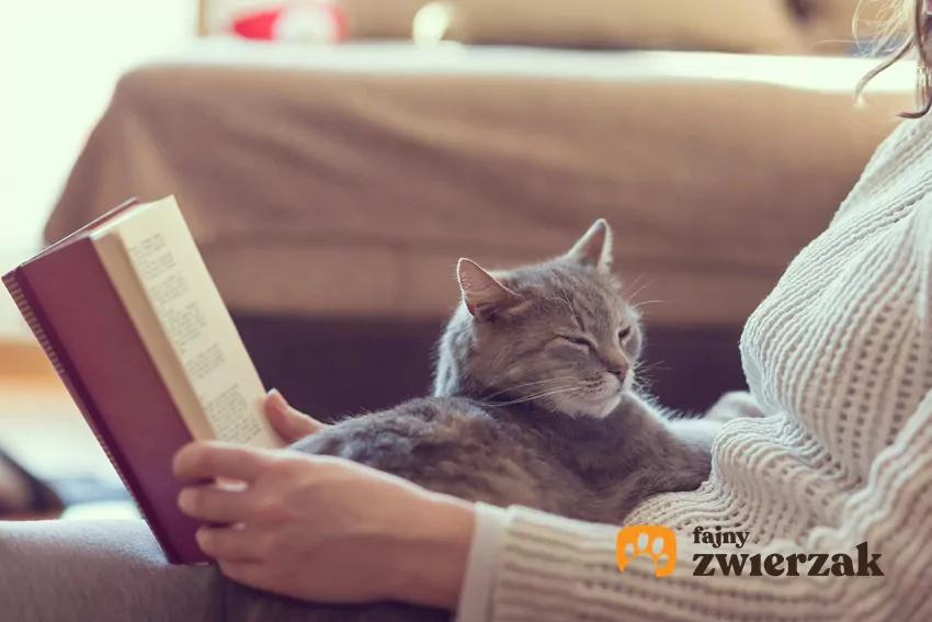 Kot leży na kolanach osoby, która czyta książkę
