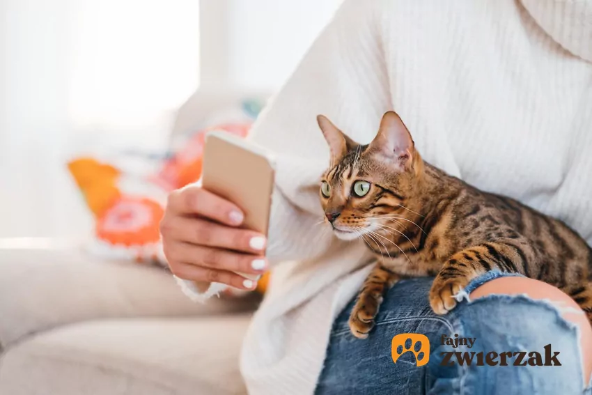 Dlaczego kot reaguje na telefon?