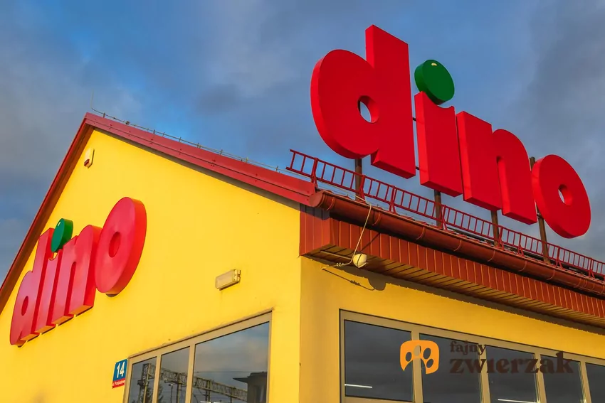 Aktualne promocje w Dino