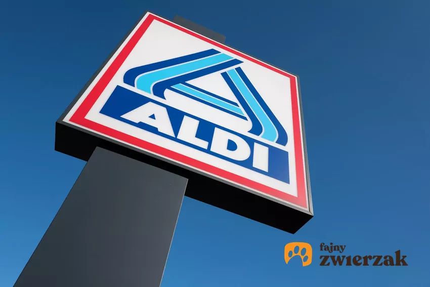 Nowe promocje w ALDI od poniedziałku ALDI