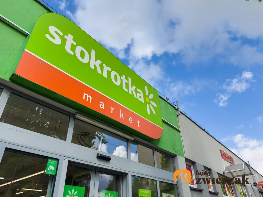 Stokrotka