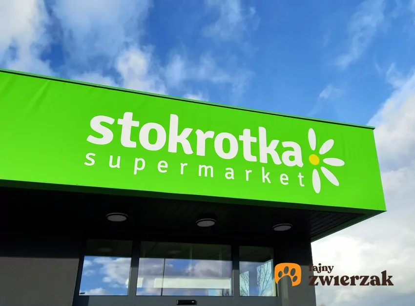 Aktualne promocje w sklepach Stokrotka