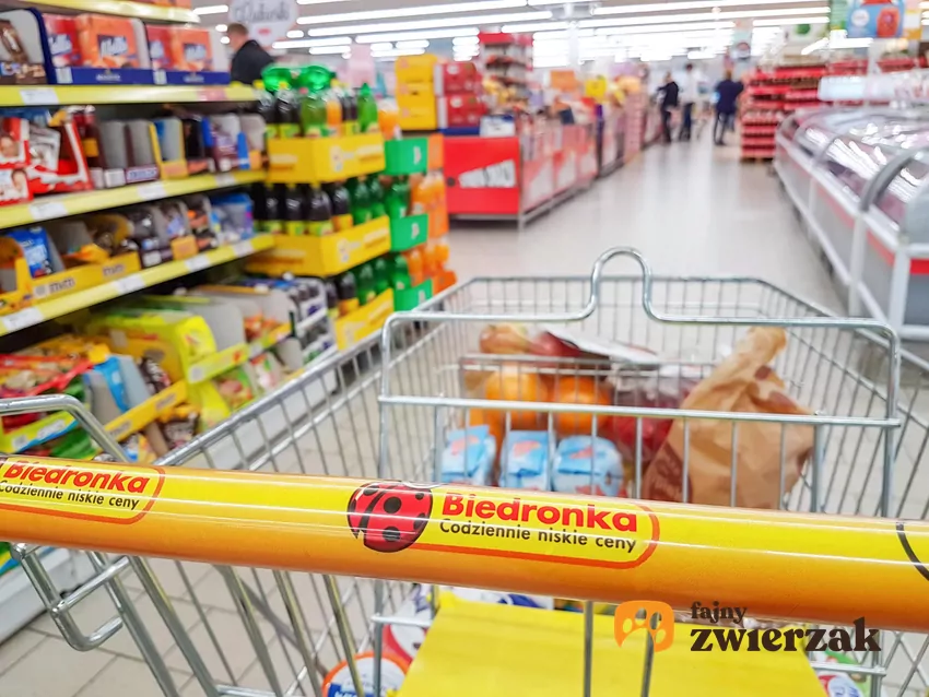 Klienci chętnie zbierają naklejki za zakupy i wymieniają na maskotki Wózek sklpeowy Biedronki