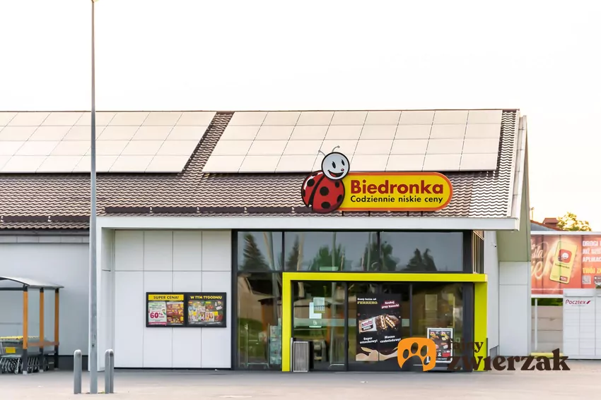 Są już 3 propozycje na nazwę nowego Gangu Biedronki Sklep Biedronka