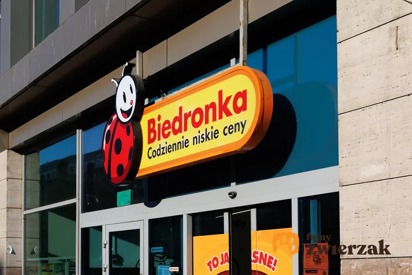 Najnowsze rabaty w Biedronce od poniedziałku Biedronka