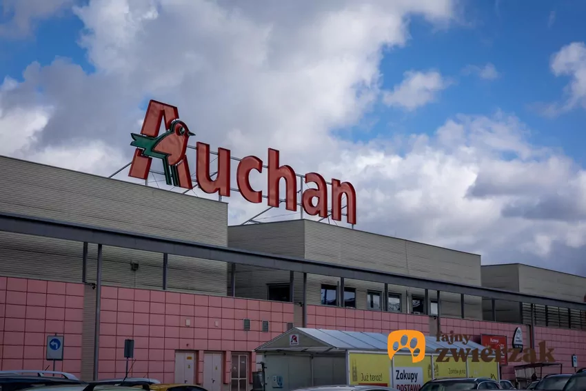 Nowe promocje w Auchan od czwartku Auchan